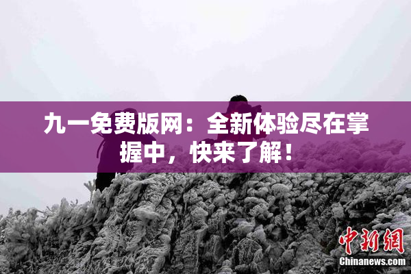 九一免费版网：全新体验尽在掌握中，快来了解！