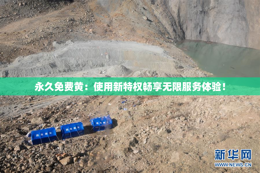 永久免费黄：使用新特权畅享无限服务体验！