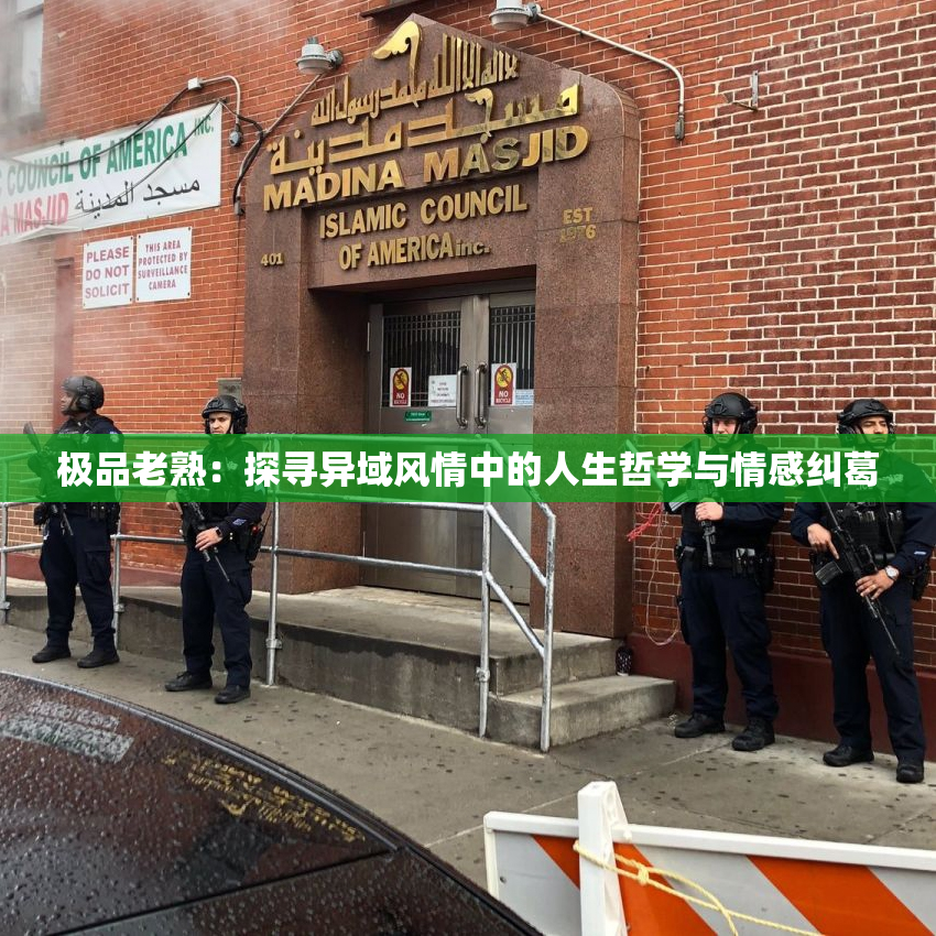 极品老熟：探寻异域风情中的人生哲学与情感纠葛