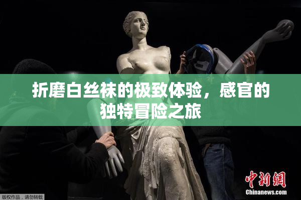 折磨白丝袜的极致体验，感官的独特冒险之旅