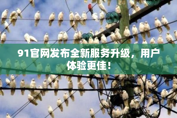 91官网发布全新服务升级，用户体验更佳！