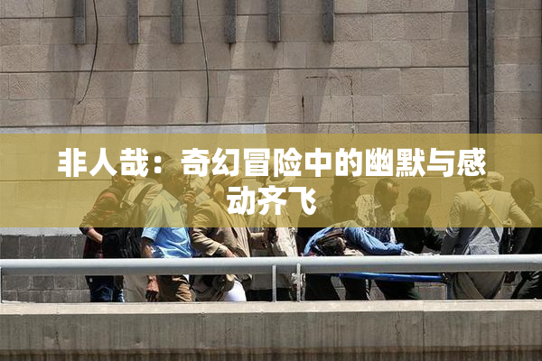 非人哉：奇幻冒险中的幽默与感动齐飞