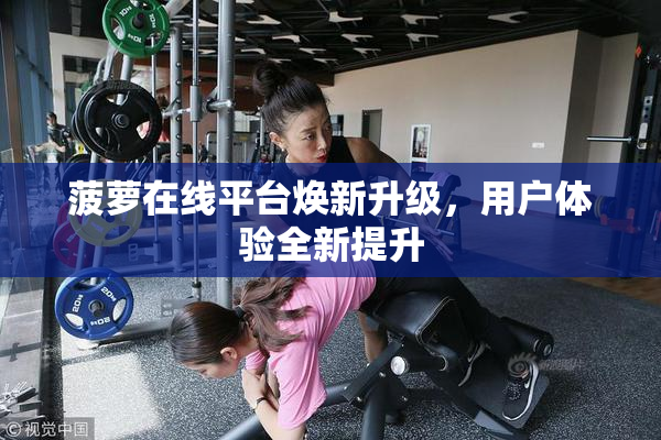 菠萝在线平台焕新升级，用户体验全新提升