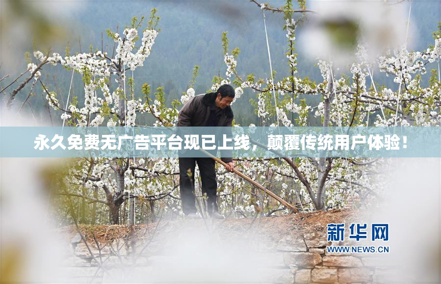 永久免费无广告平台现已上线，颠覆传统用户体验！