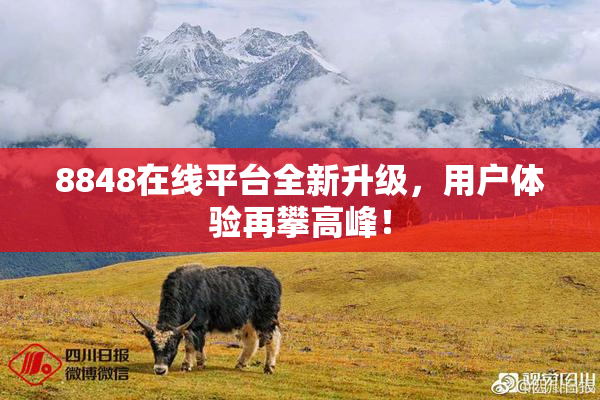 8848在线平台全新升级，用户体验再攀高峰！