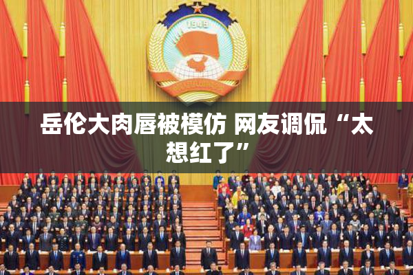 岳伦大肉唇被模仿 网友调侃“太想红了”