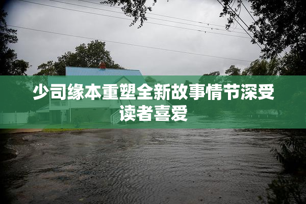 少司缘本重塑全新故事情节深受读者喜爱