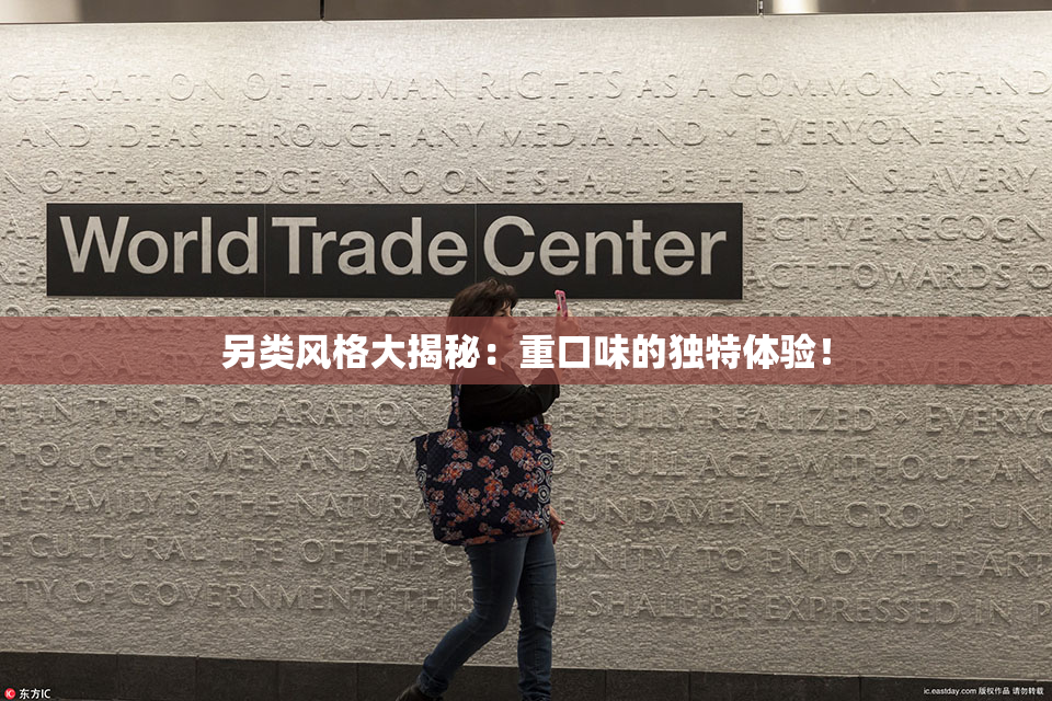 另类风格大揭秘：重口味的独特体验！