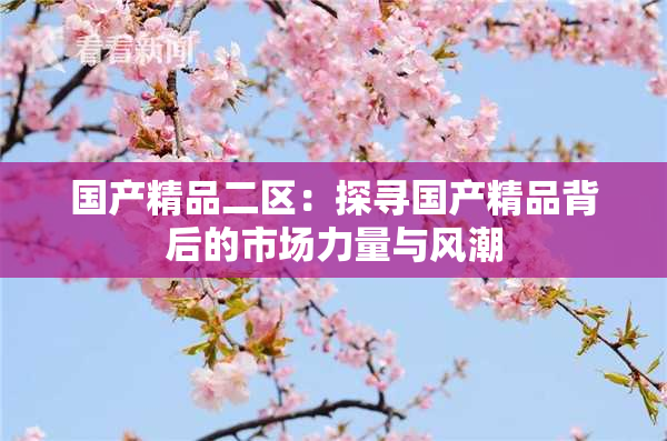 国产精品二区：探寻国产精品背后的市场力量与风潮