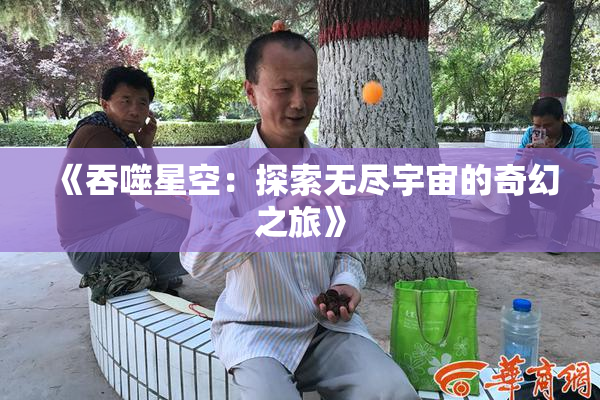 《吞噬星空：探索无尽宇宙的奇幻之旅》