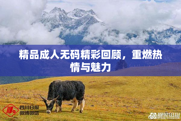 精品成人无码精彩回顾，重燃热情与魅力