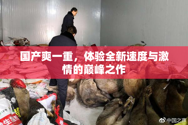 国产爽一重，体验全新速度与激情的巅峰之作