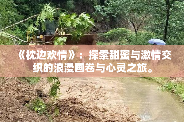 《枕边欢情》：探索甜蜜与激情交织的浪漫画卷与心灵之旅。