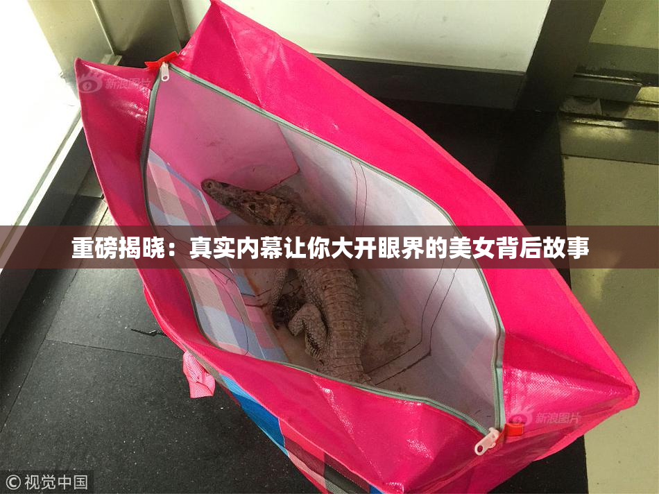 重磅揭晓：真实内幕让你大开眼界的美女背后故事