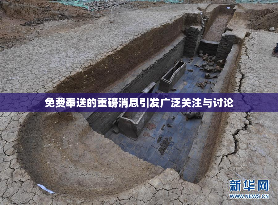 免费奉送的重磅消息引发广泛关注与讨论