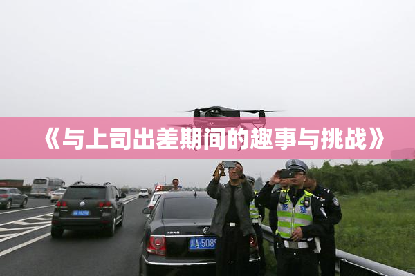 《与上司出差期间的趣事与挑战》