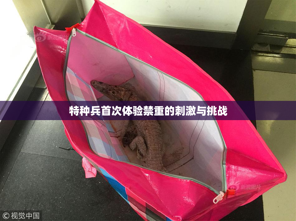 特种兵首次体验禁重的刺激与挑战