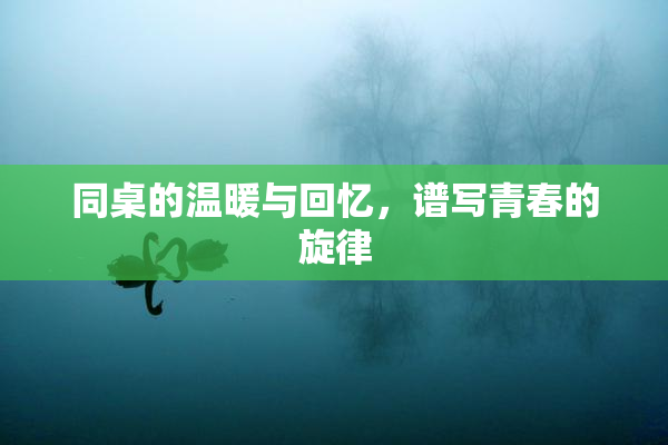 同桌的温暖与回忆，谱写青春的旋律