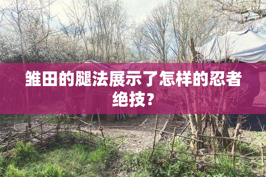 雏田的腿法展示了怎样的忍者绝技？