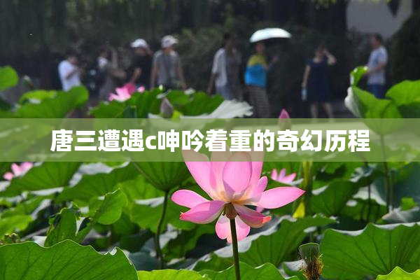 唐三遭遇c呻吟着重的奇幻历程
