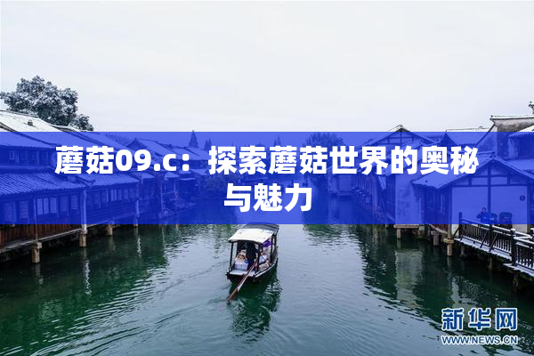 蘑菇09.c：探索蘑菇世界的奥秘与魅力