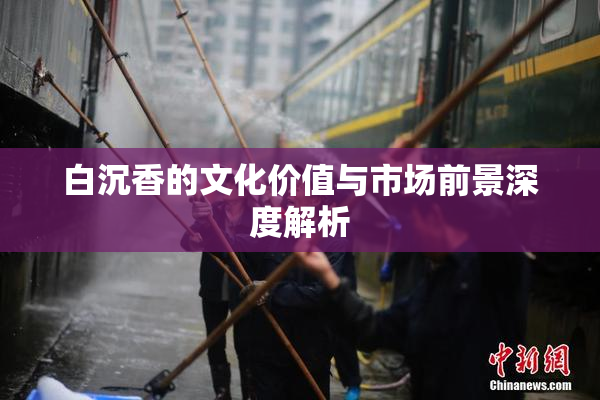 白沉香的文化价值与市场前景深度解析