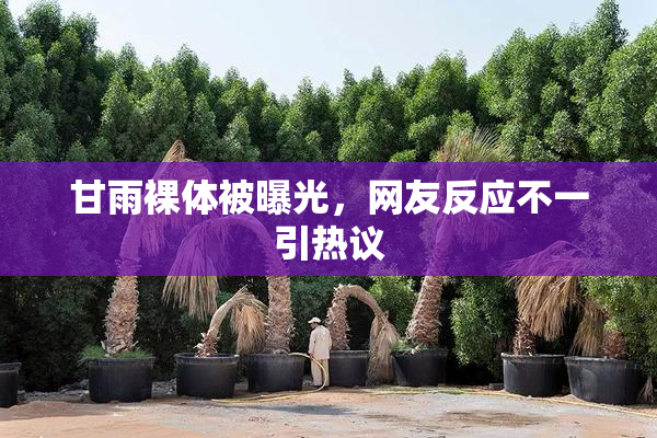 甘雨裸体被曝光，网友反应不一引热议