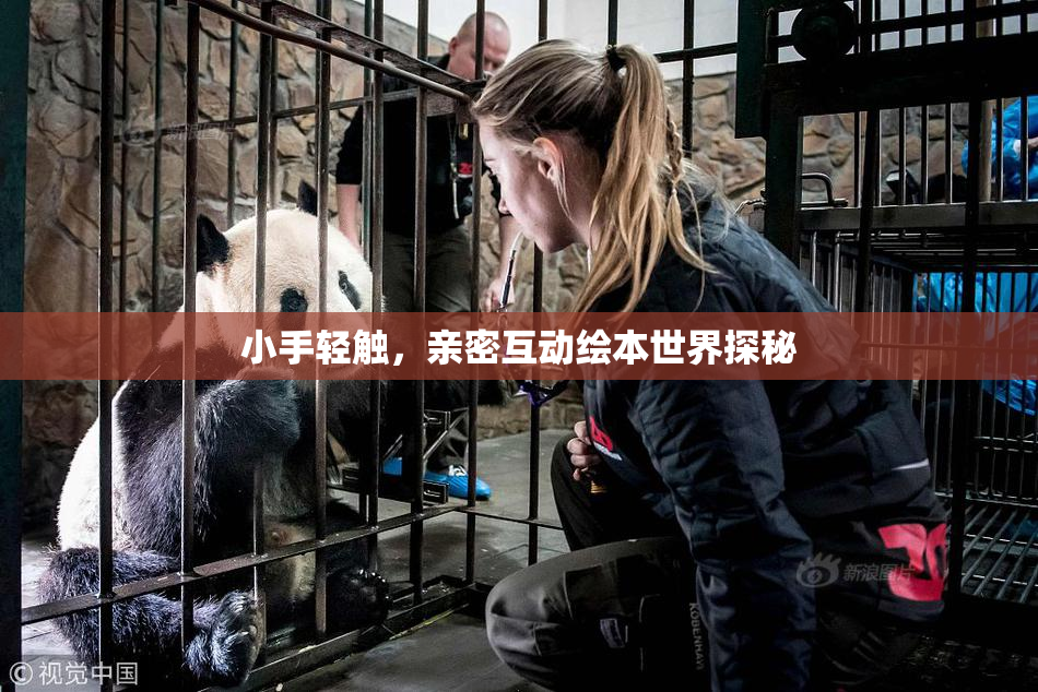 小手轻触，亲密互动绘本世界探秘
