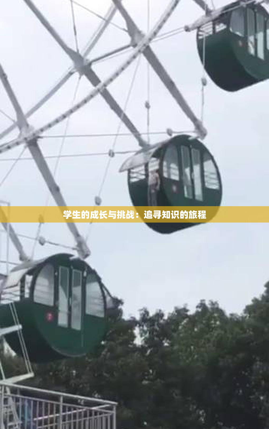 学生的成长与挑战：追寻知识的旅程
