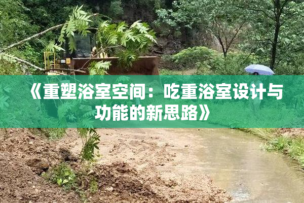 《重塑浴室空间：吃重浴室设计与功能的新思路》