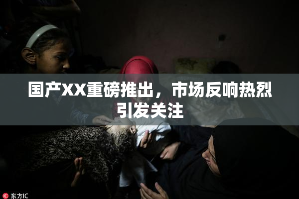 国产XX重磅推出，市场反响热烈引发关注