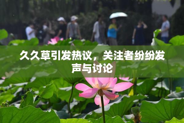 久久草引发热议，关注者纷纷发声与讨论