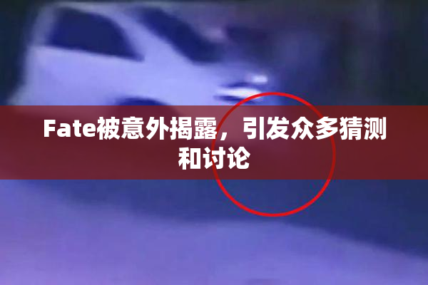 Fate被意外揭露，引发众多猜测和讨论