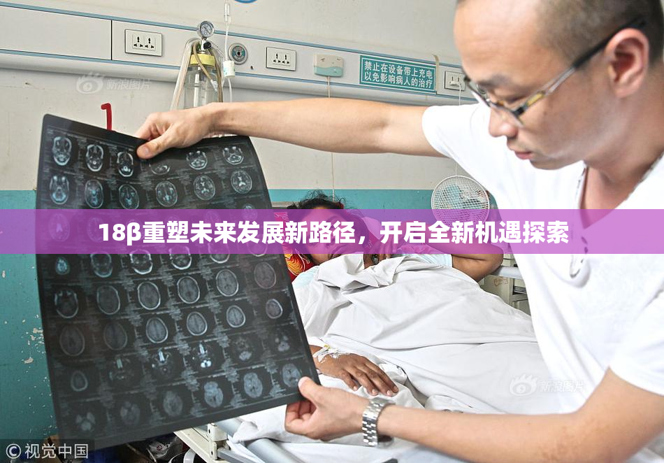 18β重塑未来发展新路径，开启全新机遇探索