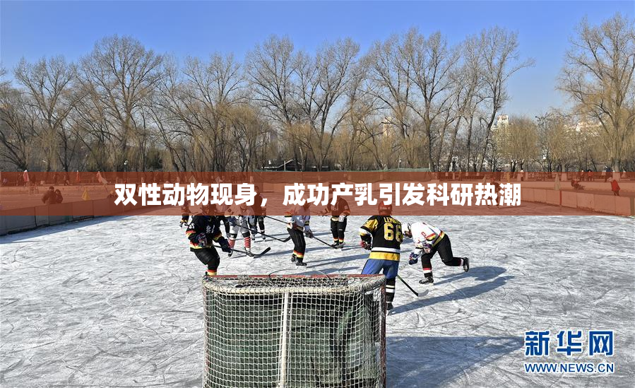 双性动物现身，成功产乳引发科研热潮