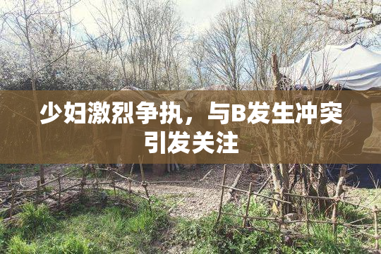 少妇激烈争执，与B发生冲突引发关注