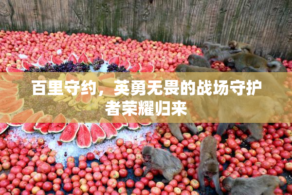 百里守约，英勇无畏的战场守护者荣耀归来