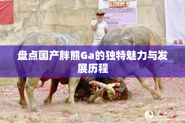 盘点国产胖熊Ga的独特魅力与发展历程