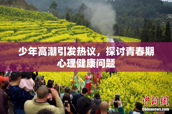少年高潮引发热议，探讨青春期心理健康问题