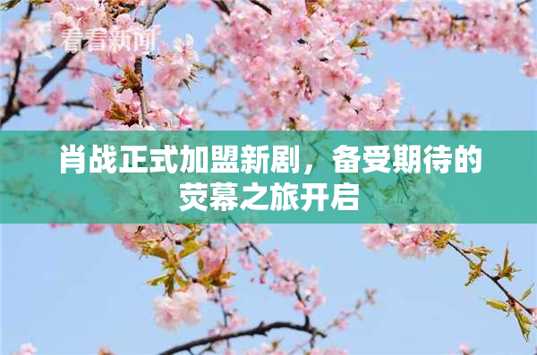肖战正式加盟新剧，备受期待的荧幕之旅开启