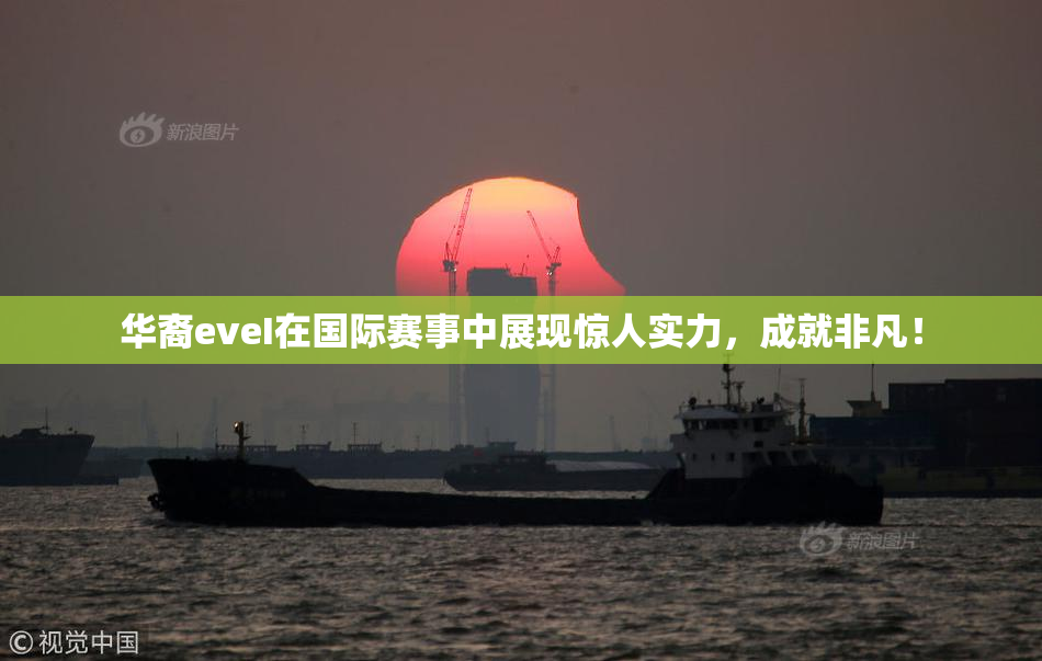华裔eveI在国际赛事中展现惊人实力，成就非凡！