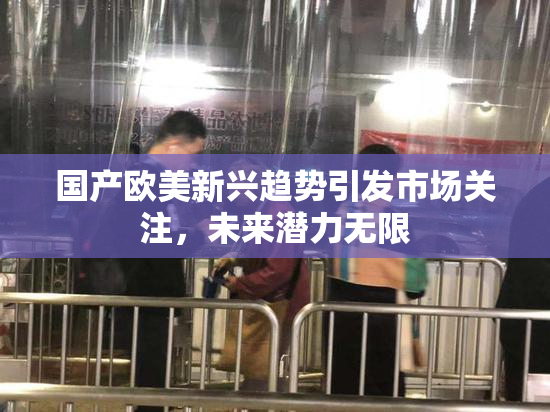 国产欧美新兴趋势引发市场关注，未来潜力无限