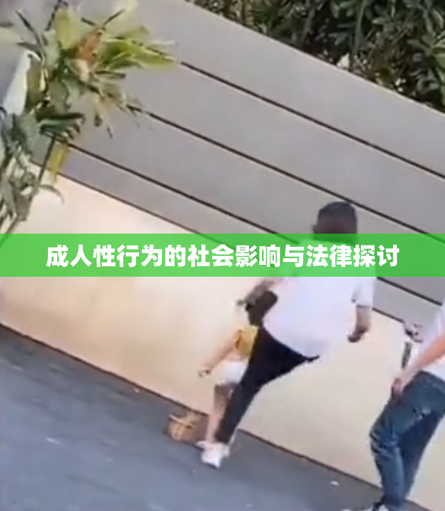 成人性行为的社会影响与法律探讨