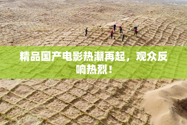 精品国产电影热潮再起，观众反响热烈！