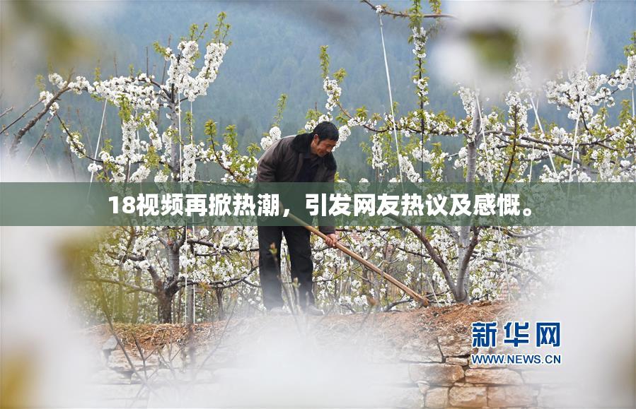 18视频再掀热潮，引发网友热议及感慨。