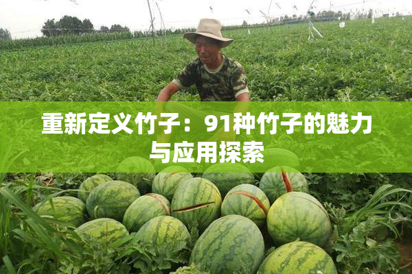 重新定义竹子：91种竹子的魅力与应用探索