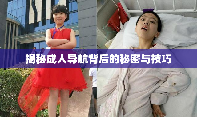 揭秘成人导航背后的秘密与技巧