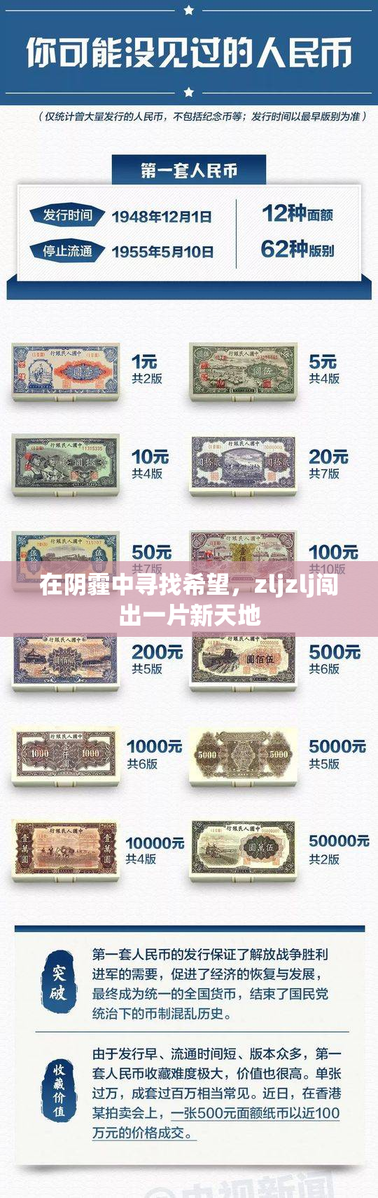 在阴霾中寻找希望，zljzlj闯出一片新天地