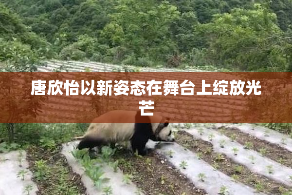 唐欣怡以新姿态在舞台上绽放光芒