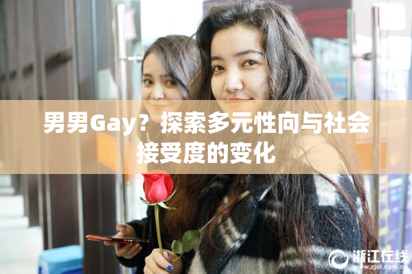 男男Gay？探索多元性向与社会接受度的变化